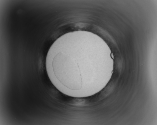 X0000087540328200705181053