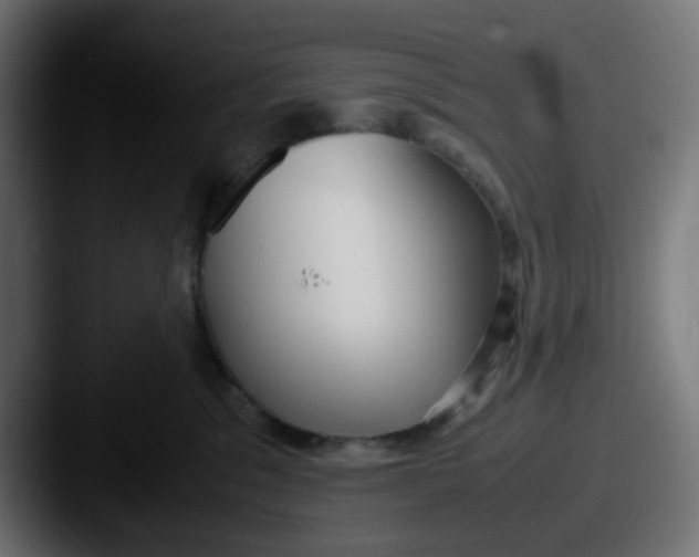 X0000087540329200705181053