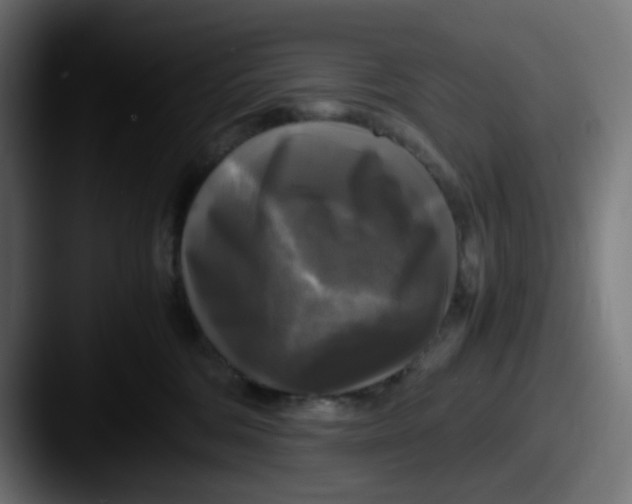 X0000087540330200705181053