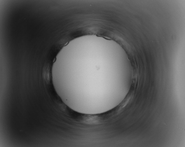 X0000087540334200705181053