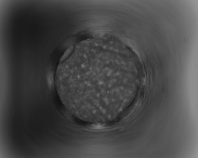 X0000087540335200705181053