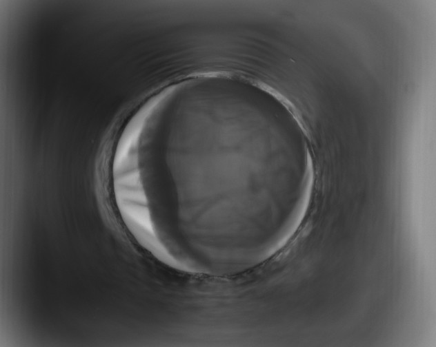 X0000087540337200705181052