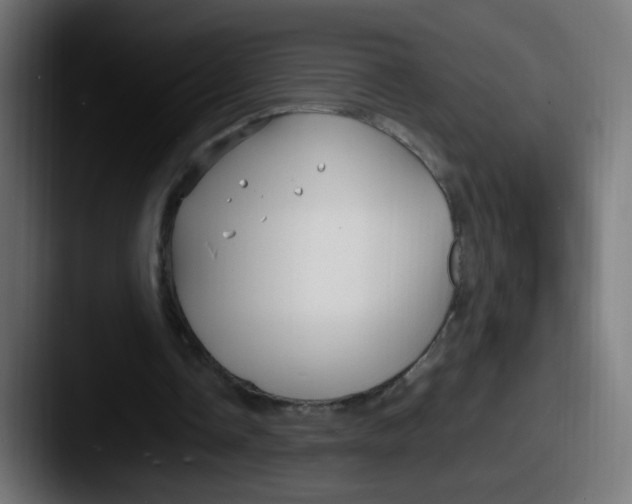 X0000087540338200705181052