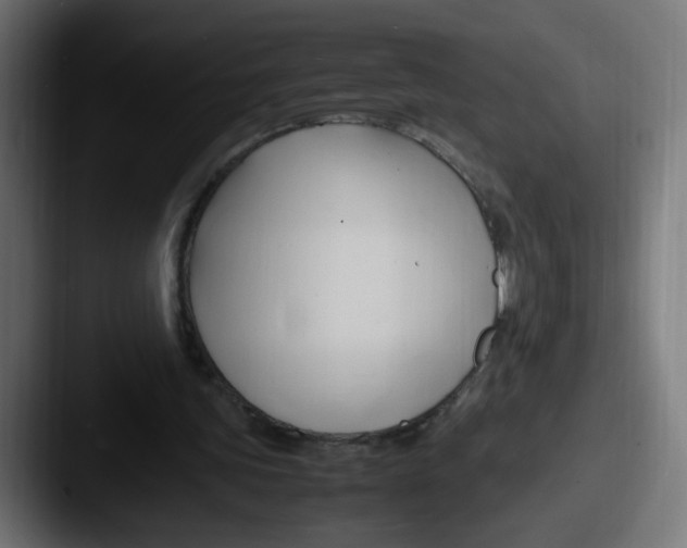 X0000087540339200705181052