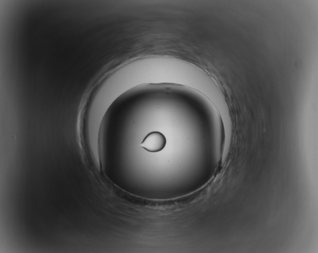 X0000087540340200705181052