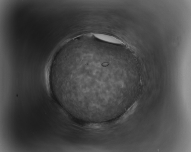 X0000087540341200705181052