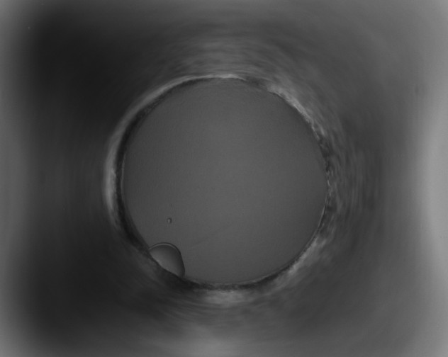 X0000087540342200705181052