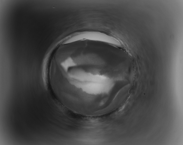 X0000087540343200705181052