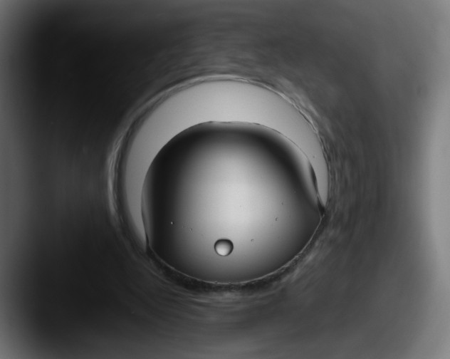 X0000087540344200705181052