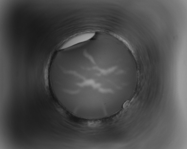 X0000087540345200705181052