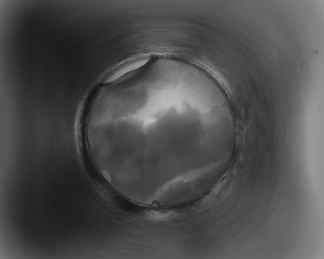 X0000087540346200705181052