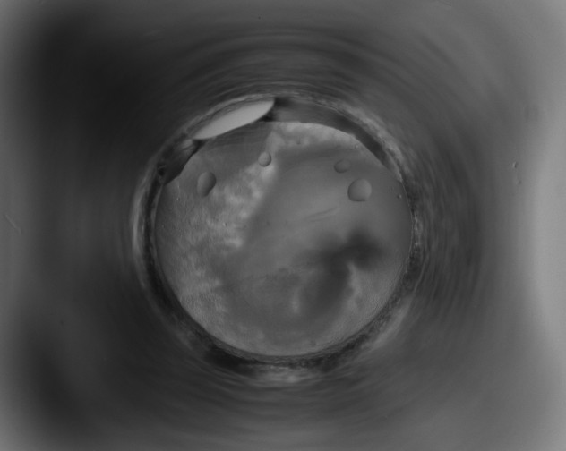 X0000087540347200705181052