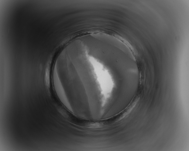 X0000087540349200705181052