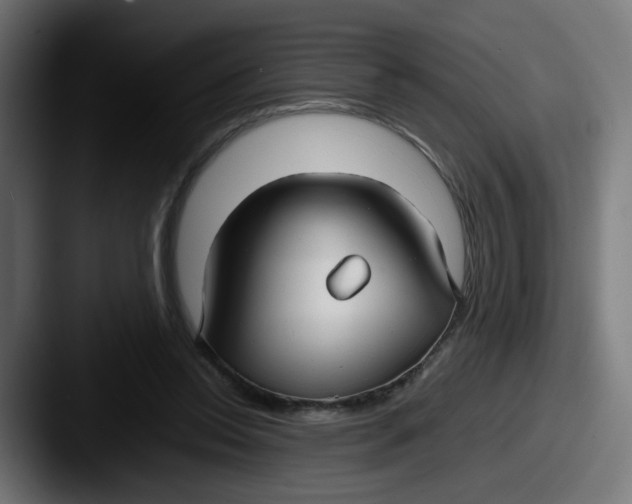 X0000087540350200705181052