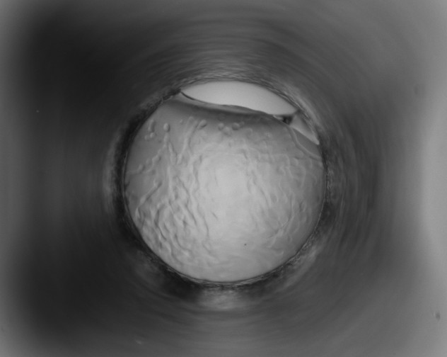 X0000087540354200705181052