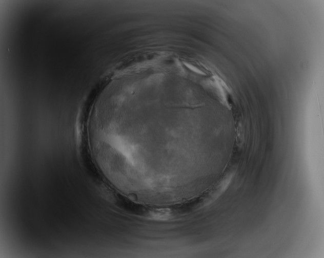 X0000087540355200705181052