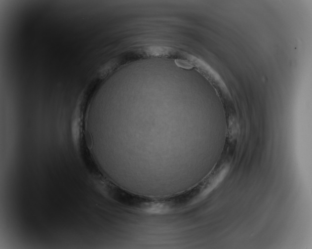 X0000087540356200705181052