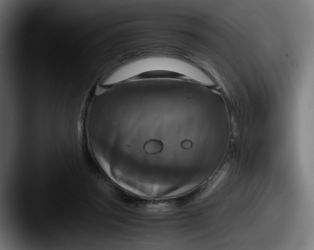 X0000087540357200705181052