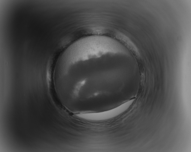 X0000087540358200705181052