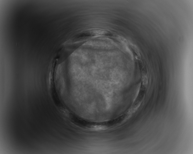 X0000087540360200705181053