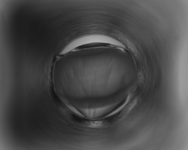 X0000087540361200705181053