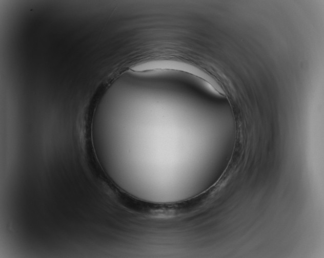 X0000087540362200705181053