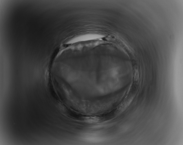 X0000087540363200705181053