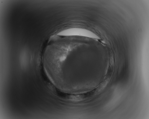 X0000087540367200705181053