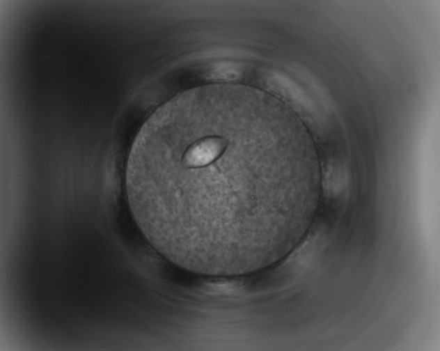 X0000087540370200705181053