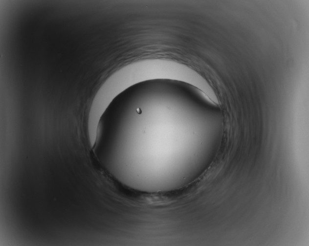 X0000087540372200705181053