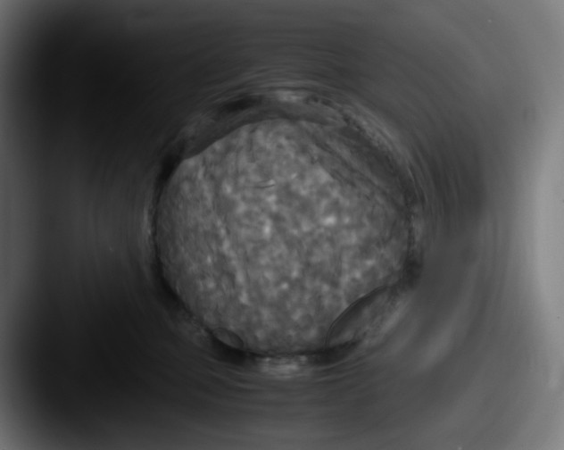 X0000087540373200705181053