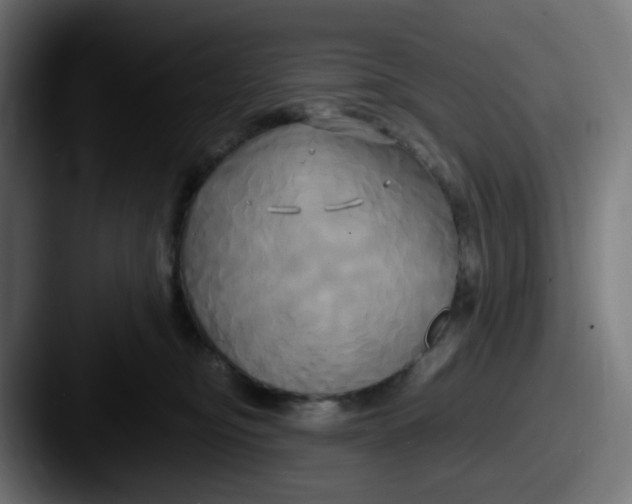 X0000087540374200705181053