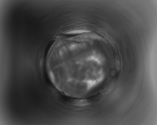 X0000087540375200705181053