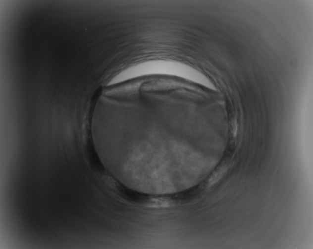 X0000087540376200705181053