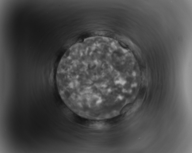 X0000087540377200705181053