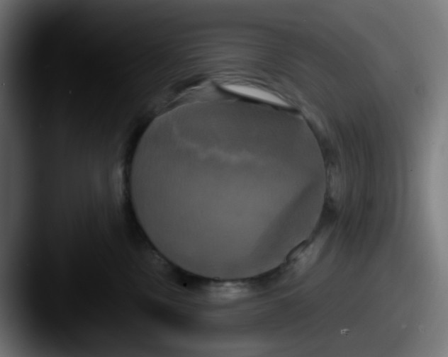 X0000087540378200705181053