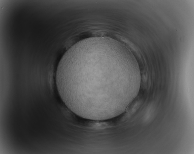 X0000087540379200705181053