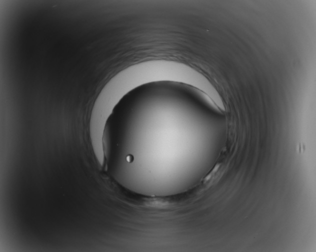 X0000087540380200705181053