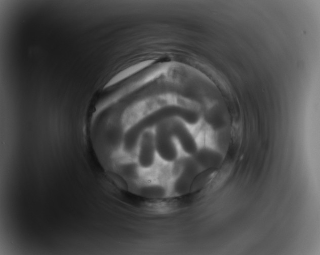 X0000087540381200705181053