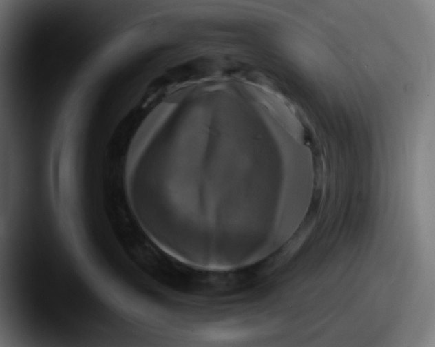 X0000087540383200705181053