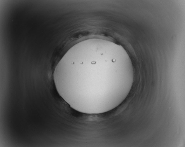 X0000087540384200705181053