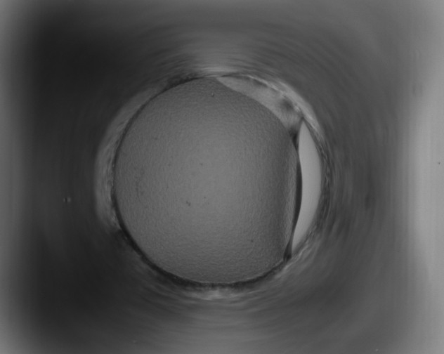 X0000087540385200705181052