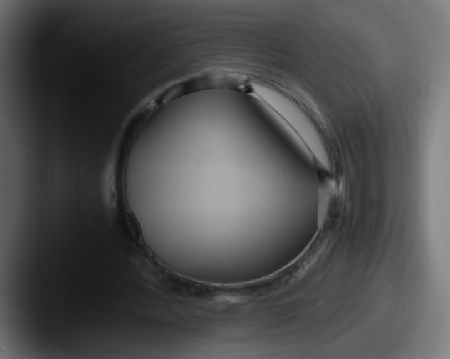 X0000087540388200705181052