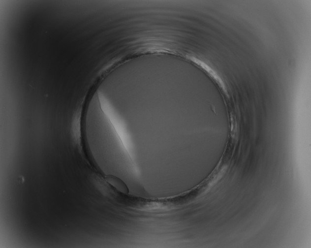 X0000087540390200705181052