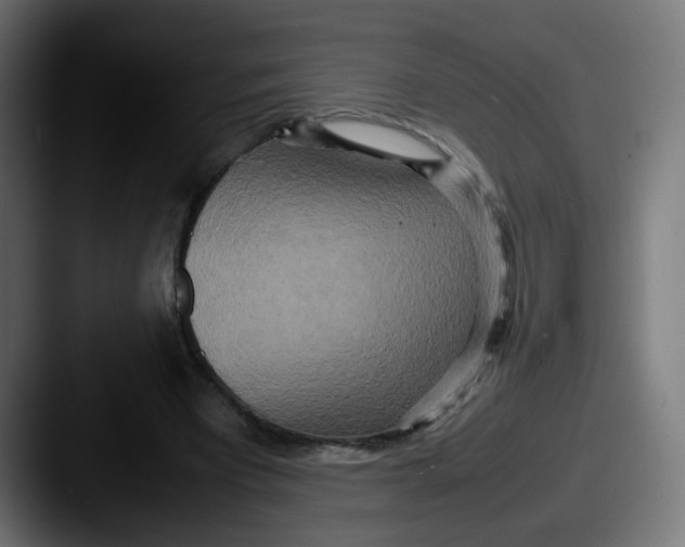 X0000087540393200705181052