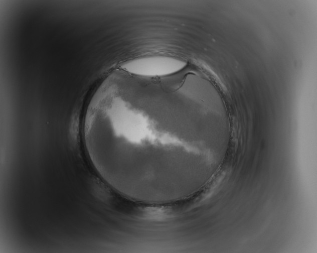 X0000087540394200705181052