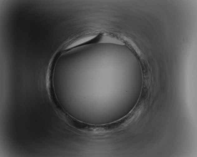 X0000087540395200705181052