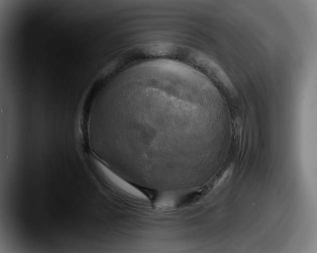 X0000087540400200705181052