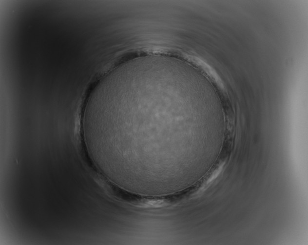 X0000087540401200705181052