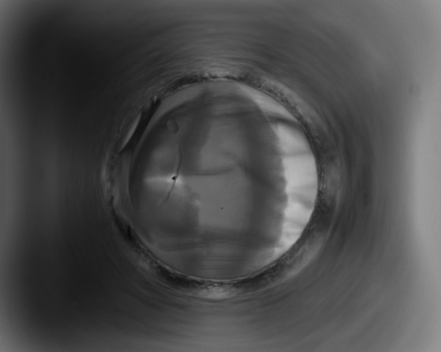 X0000087540402200705181052